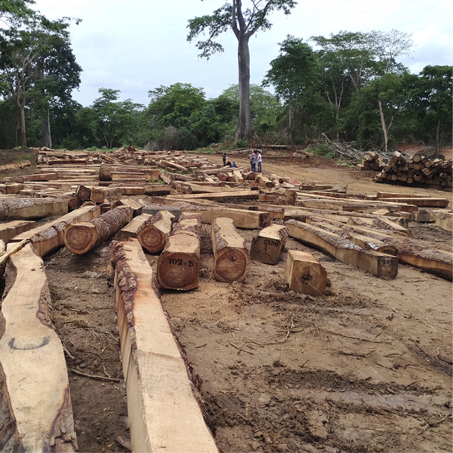 Deck de Exterior em Mukula